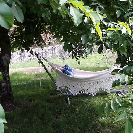 Beautiful In With Pool&garden