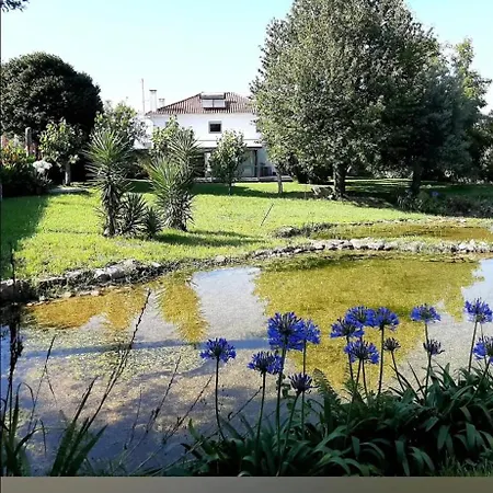 Beautiful In With Pool&garden