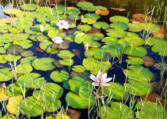 Villa Beautiful In With Pool And Garden Póvoa de Lanhoso