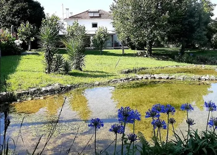 Beautiful In With Pool And Garden